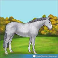 Horse Color:Watercolor Black Ice 