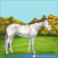 Horse Color:Blue Onyx Ice Pearl Sabino