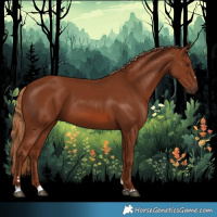 Horse Color:Chestnut 