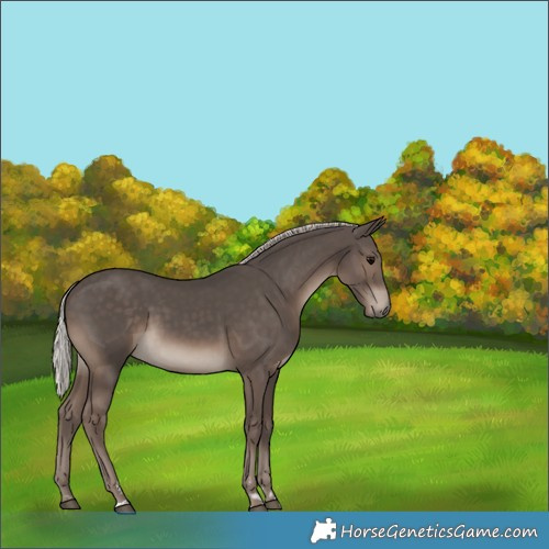 Horse Color:Silver Black 