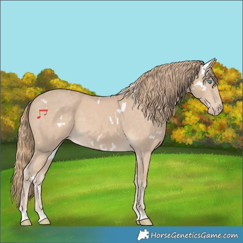 Horse Color:White Spotted Smoky Creme 