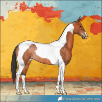 Horse Color:Bay Tobiano Rabicano 