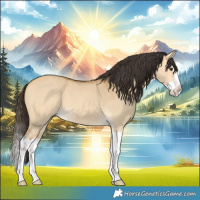 Horse Color:Buckskin Dun Splash 
