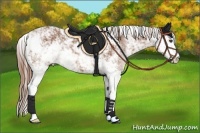 Horse Color:Chestnut Sabino