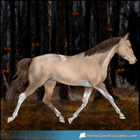 Horse Color:Brown Pearl Dun Tobiano Rabicano 