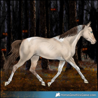 Horse Color:Bay Pearl Dun Tobiano Rabicano 