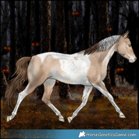 Horse Color:Bay Snowdrop Pearl Dun Tobiano Varnish Rabicano 