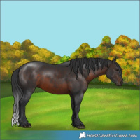 Horse Color:Brown 