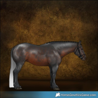 Horse Color:Brown 