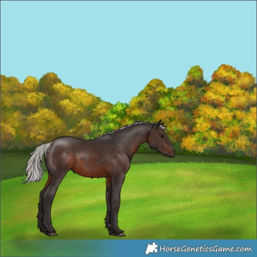 Horse Color:Silver Brown 