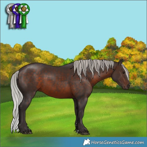 Horse Color:Silver Brown 