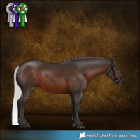 Horse Color:Silver Brown