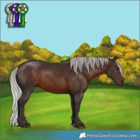 Horse Color:Silver Brown 