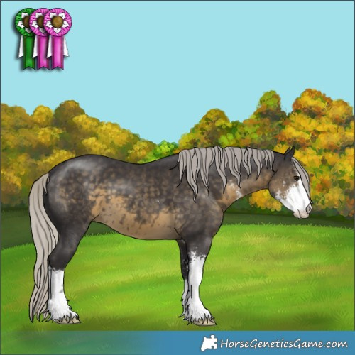 Horse Color:Silver Smoky Black Sabino 