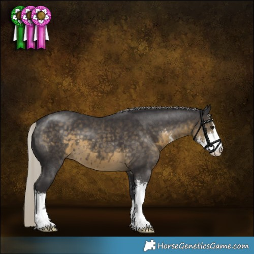 Horse Color:Silver Smoky Black Sabino 