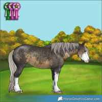 Horse Color:Silver Smoky Black Sabino 