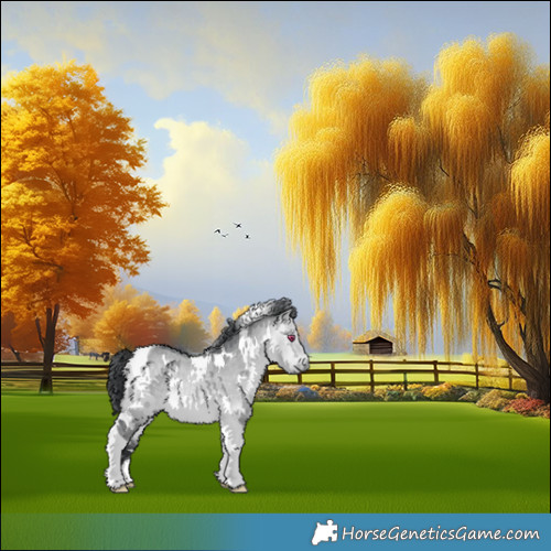 Horse Color:White Spotted Bay Chinchilla Dun Tobiano Rabicano 
