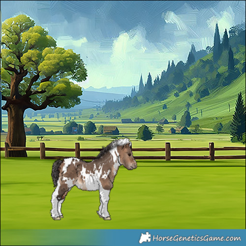Horse Color:White Spotted Bay Dun Tobiano 