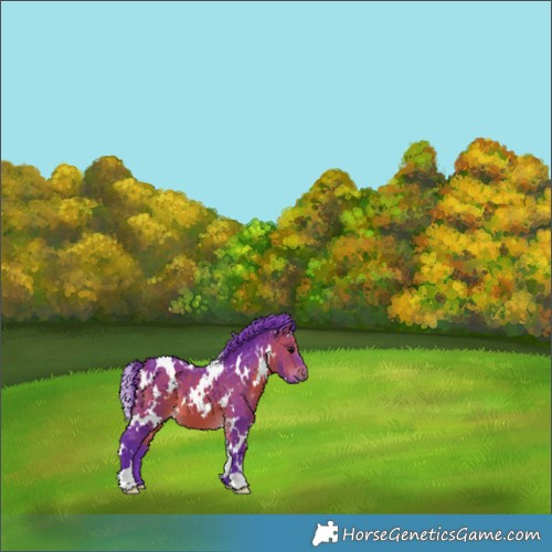 Horse Color:Watercolor White Spotted Bay 