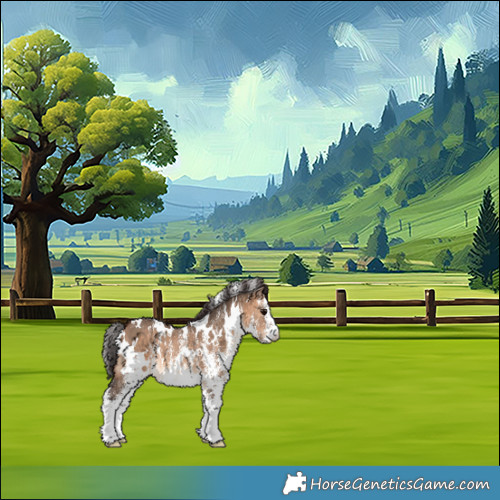 Horse Color:White Spotted Brown Dun Rabicano 