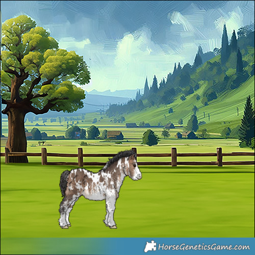 Horse Color:White Spotted Bay Dun Rabicano 