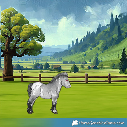 Horse Color:White Spotted Bay Chinchilla Appaloosa 