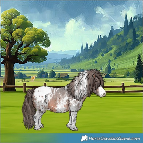 Horse Color:White Spotted Bay Appaloosa 