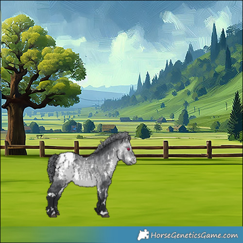 Horse Color:White Spotted Bay Chinchilla Appaloosa 