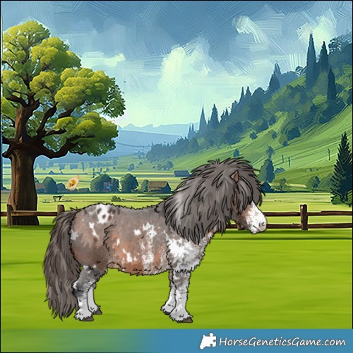 Horse Color:White Spotted Bay Varnish 