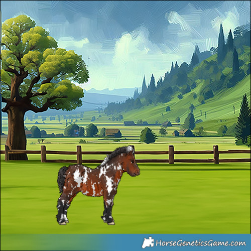 Horse Color:White Spotted Brown 