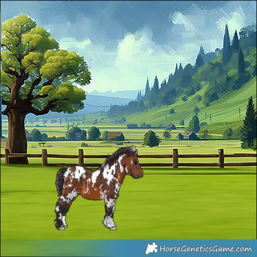 Horse Color:White Spotted Brown 