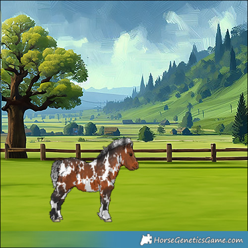 Horse Color:White Spotted Brown 