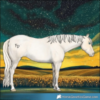 Horse Color:Palomino Roan Pearl 