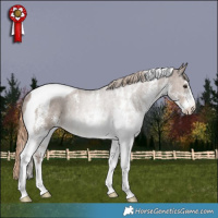 Horse Color:White Spotted Liver Red Dun Tobiano Rabicano