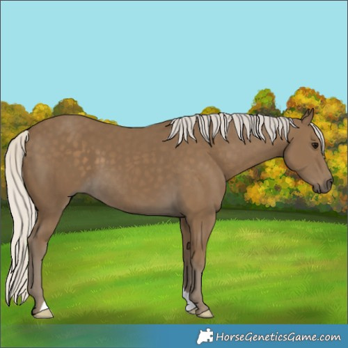 Horse Color:Silver Smoky Black 