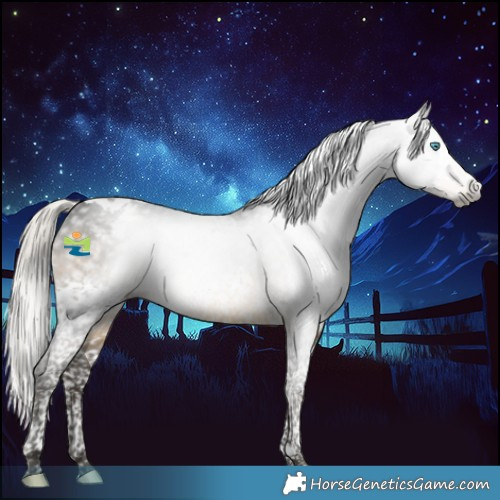 Horse Color:Gray Silver Buckskin Splash Tobiano Varnish 