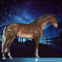 Horse Color:Silver Brown Tobiano 