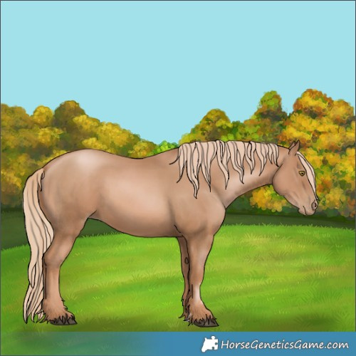 Horse Color:Chestnut Pearl 