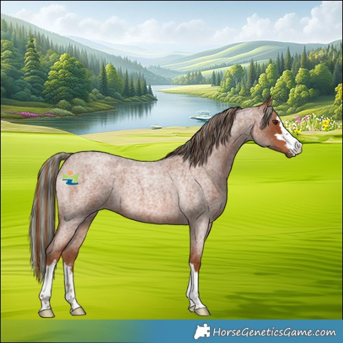 Horse Color:Painted Red Roan 