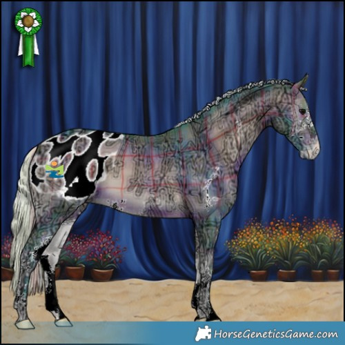 Horse Color:Watercolor Plaid  Silver Bay Ice Onyx Sabino Appaloosa 