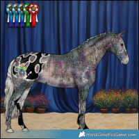 Horse Color:Watercolor Plaid  Silver Bay Ice Onyx Sabino Appaloosa 