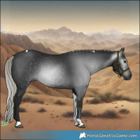 Horse Color:Gray Silver Brown Tobiano 