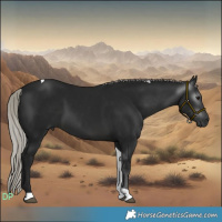 Horse Color:Gray Silver Brown Tobiano 