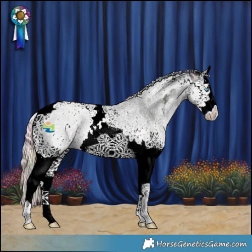 Horse Color:Nacre White Spotted Gold Champagne Ice Dun Splash Tobiano 