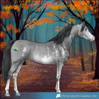 Horse Color:Bay Chinchilla Sabino 
