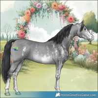 Horse Color:Bay Chinchilla Sabino