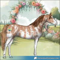 Horse Color:Chestnut Sabino
