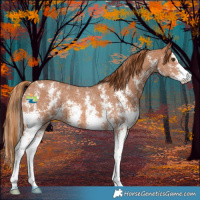 Horse Color:Chestnut Sabino
