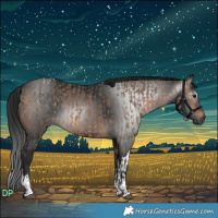 Horse Color:Brown Dun Tobiano  and Gray White Spotted Brown 