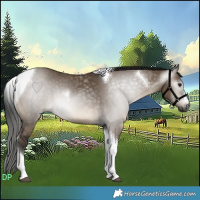 Horse Color:Gray Brown Dun Tobiano